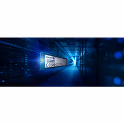 Kingston Technology 240G DC2000B PCIe 4.0 M.2 2280 Enterprise SSD (Sans radiateur de dissipation thermique) - Vue supplémentaire 6