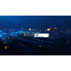Kingston Technology 240G DC2000B PCIe 4.0 M.2 2280 Enterprise SSD (Sans radiateur de dissipation thermique) - Vue supplémentaire 8