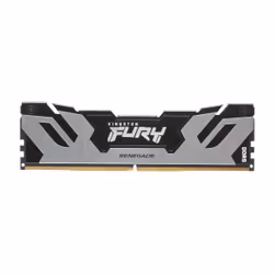 Kingston Technology FURY 24 Go 8000 MT/s DDR5 CL38 DIMM Renegade Silver, 24 Go, 1 x 24 Go, DDR5, 288-pin DIMM