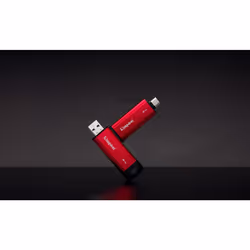 Kingston Technology 2 TB Dual USB-A/C Portable SSD, Up to 1050MB/s USB 3.2 Gen 2 - Vue supplémentaire 8