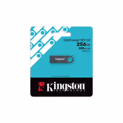 Kingston Technology DataTraveler 256 Go SE9 G3 - Nickel foncé - Vue supplémentaire 4