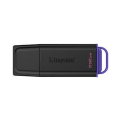 Kingston Technology DataTraveler 512Go Stockage portable USB 3.2 Gen 1 Exodia Noir + Violet