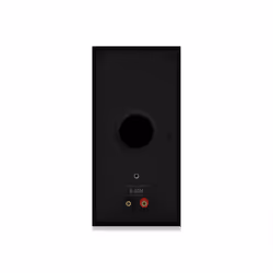 Klipsch R-40M haut-parleur 2-voies Noir - Vue supplémentaire 6