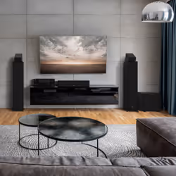 Klipsch R-101SW Noir Caisson de basse actif 150 W - Vue supplémentaire 7