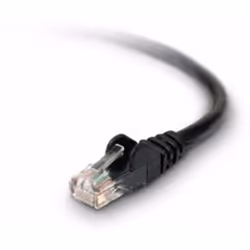 Belkin RJ45-RJ45, Cat6, 1m, 1 m, Cat6, RJ-45, RJ-45