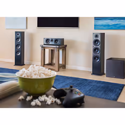Polk Audio T50 haut-parleur 2-voies Noir Avec fil 150 W - Vue supplémentaire 5