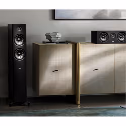 Polk Audio R300 Noir - Vue supplémentaire 6