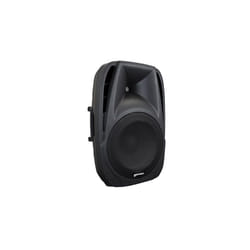 Gemini ES-10P haut-parleur 2-voies Noir Avec fil 110 W