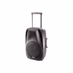 Gemini ES-12TOGO haut-parleur Noir Avec fil &sans fil