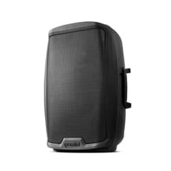 Gemini AS-2112P haut-parleur 2-voies Noir