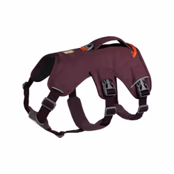 Ruffwear 30103-507M harnais pour chiens et chats M Violet Nylon, Polyester Chien Harnais abdominal