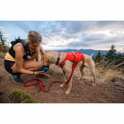Ruffwear Flat Out Bleu, Rouge, Jaune Aluminium, Polyester, Silicone Chien Collier standard