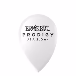 Ernie Ball P09336