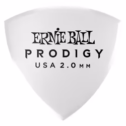 Ernie Ball P09338
