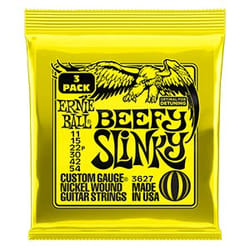 Ernie Ball P03627 Electrique 3 pièce(s) Nickel Guitare