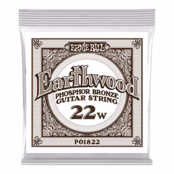 Ernie Ball P01822, Guitare, Acier, Acoustique, 6 pièce(s), 1003,3 mm