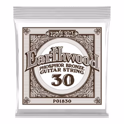Ernie Ball P01830, Guitare, Acier, Acoustique, 6 pièce(s), 1003,3 mm
