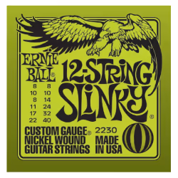 Ernie Ball P02230