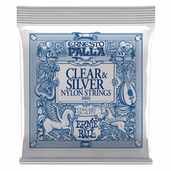 Ernie Ball P02403