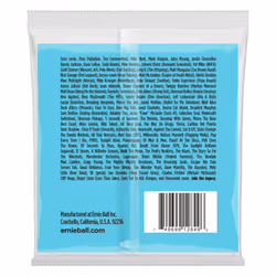 Ernie Ball P02849 corde d'instrument de musique Basse 4 pièce(s) Acier Guitare