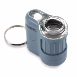 Carson MICROMINI 20X Microscope numérique