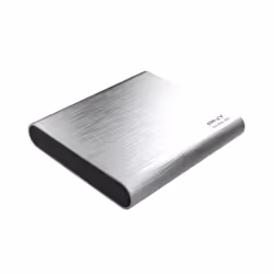 PNY Pro Elite 250 Go Argent