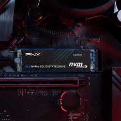 PNY CS2130 M.2 500 Go PCI Express 3.0 3D NAND NVMe
