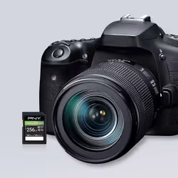 PNY EliteX-PRO60 256 Go SDXC UHS-II Classe 10