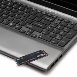 PNY CS2230 M.2 500 Go PCI Express 3.0 3D NAND NVMe - Vue supplémentaire 6