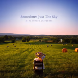 ImportCDs Sometimes Just the Sky, Américaine, CD, Support physique, Adulte, 1 disques, 29/03/2018