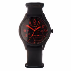 MONTRE TIMEX TW2V10800LG