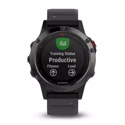 Garmin Fenix 5, 3,05 cm (1.2"), GPS (satellite), 85 g