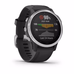 Garmin fēnix 6S 42mm Noir, Argent GPS (satellite)