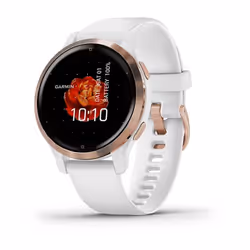 Garmin Venu 2S 40mm Tactile Or rose Wifi GPS (satellite)