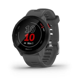 Garmin 010-02562-13 smartwatche et montre de sport MIP 42 mm Numérique 208 x 208 pixels Écran tactile Gris GPS (satellite)