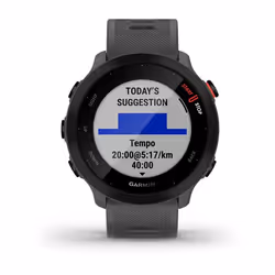 Garmin 010-02562-13 smartwatche et montre de sport MIP 42 mm Numérique 208 x 208 pixels Écran tactile Gris GPS (satellite)