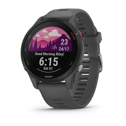 Garmin Forerunner 255 46mm Tactile Gris Wifi GPS (satellite)