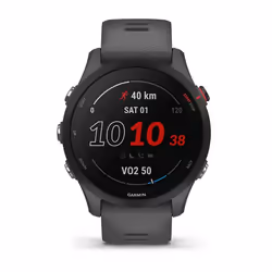 Garmin Forerunner 255 46mm Tactile Gris Wifi GPS (satellite)