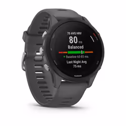 Garmin Forerunner 255 46mm Tactile Gris Wifi GPS (satellite)