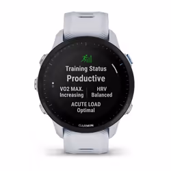 Garmin Forerunner 955 22 mm Tactile Noir Wifi GPS (satellite)