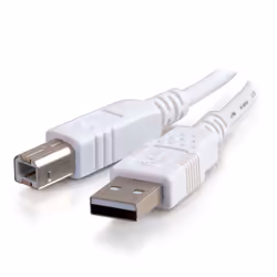 C2G Câble USB 2.0 A/B de 2 M - Blanc, 2 m, USB A, USB B, USB 2.0, Mâle/Mâle, Blanc