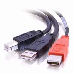 C2G USB B/USB A Y-Cable, 2 m, USB B, 2 x USB A, Mâle/Mâle, Noir