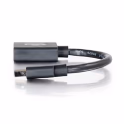 C2G 0.15m Mini DP M / DP F 0,15 m Noir