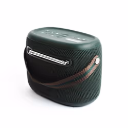 Pure 251891 Radio portable Vert