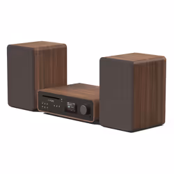 Pure 252807 ensemble audio pour la maison Système micro audio domestique 50 W Noir, Noyer