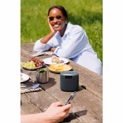 Pure Woodland Mini Portable Numérique Noir, Vert - Vue supplémentaire 7