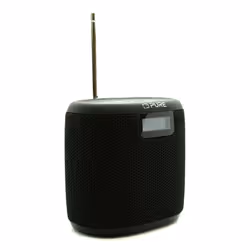 Pure Woodland Mini Portable Numérique Noir