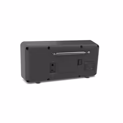Pure Elan Connect+ Portable Numérique Charbon de bois