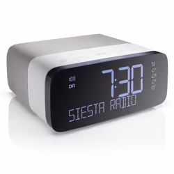 Pure Siesta Rise, Horloge, Analogique et numérique, DAB, DAB+, FM, Auto scan, 6,35 cm (2.5"), LCD