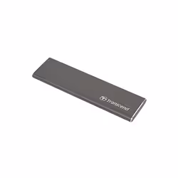Transcend ESD250C 960 Go Gris